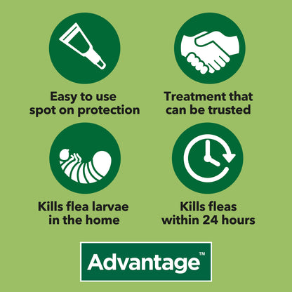 Advantage Spot-On Flea Treatment for Cats, Small Dogs & Rabbits 4 Pack