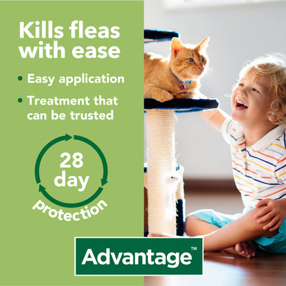 Advantage Spot-On Flea Treatment for Large Cats & Rabbits 4 Pack