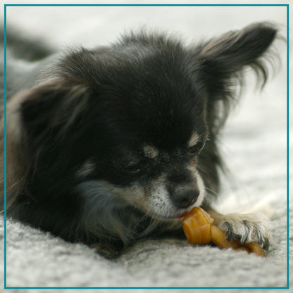 SmartBones Mini Breed Dog Bone Chew Peanut Butter 24 Pack
