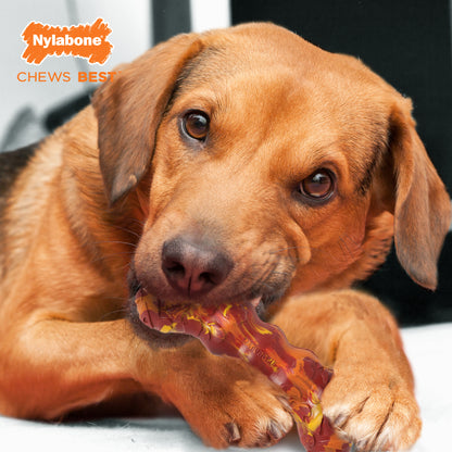 Nylabone Ruff & Tuff Bacon & Cheese Dog Chew Toy Medium