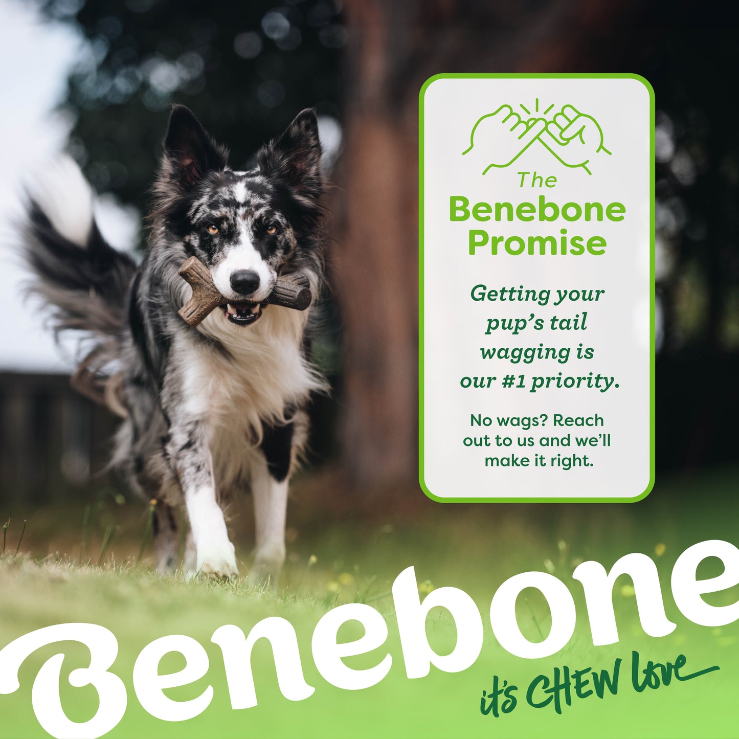 Benebone Maplestick Dog Chew Toy