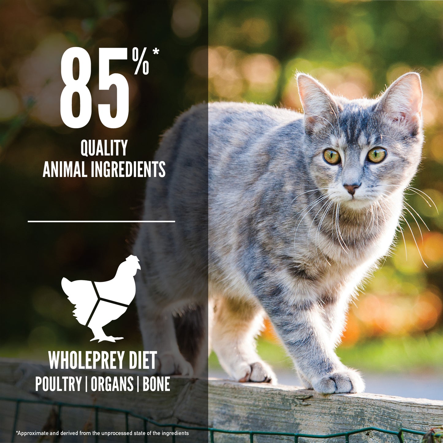 ORIJEN Original Adult Dry Cat Food with Chicken Turkey & Fish