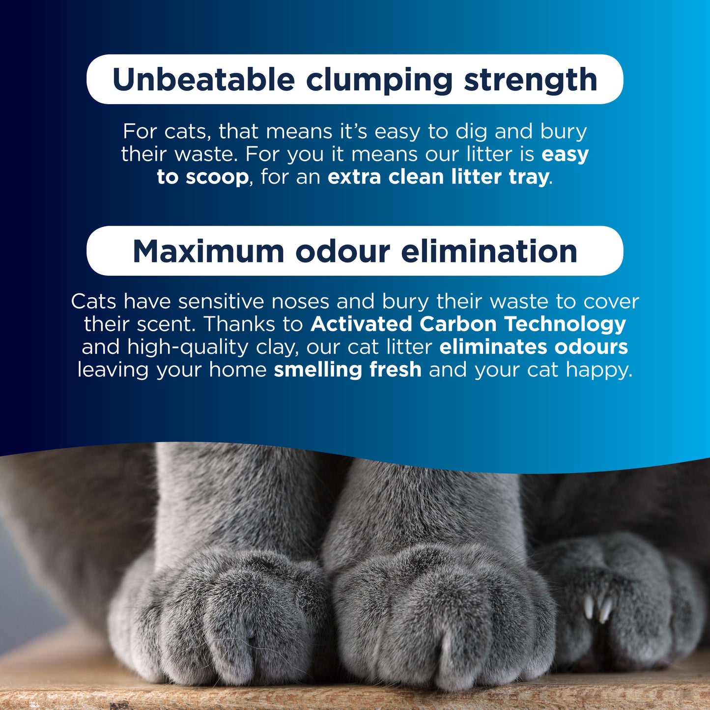 Ever Clean Lavender Clumping Cat Litter 10L