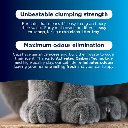 Ever Clean Lavender Clumping Cat Litter 10L