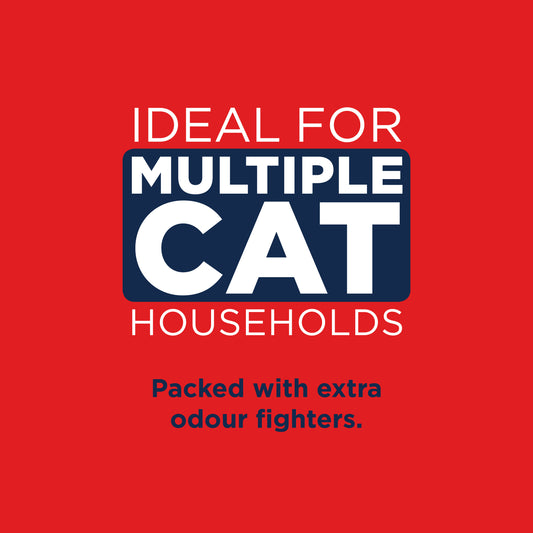 Ever Clean Scented Cat Litter 10L