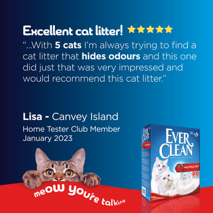 Ever Clean Scented Cat Litter 10L