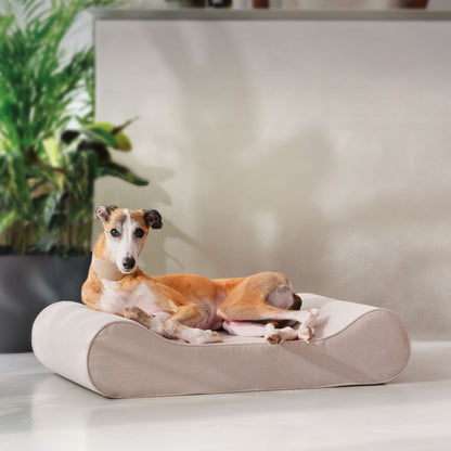 Noble Chenille Curved Dog Mattress Biscuit Medium