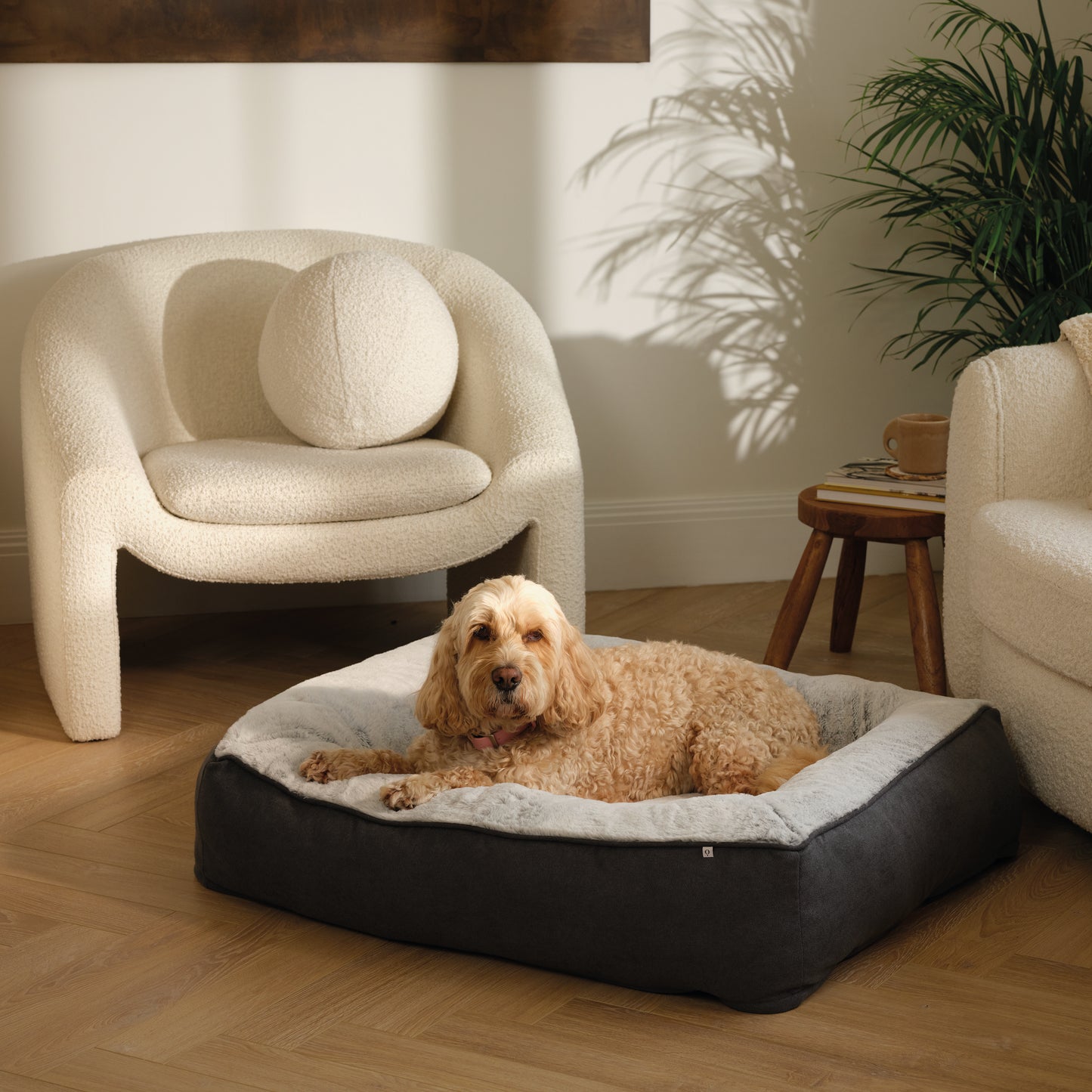 Noble Memory Foam Cube Dog Bed Grey