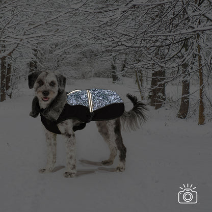Dog Gone Smart Aspen Black & Meteor Reflective Splash Dog Coat