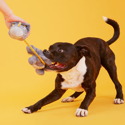 BARK Herbert the Herbivore Rope Squeaky Dog Toy