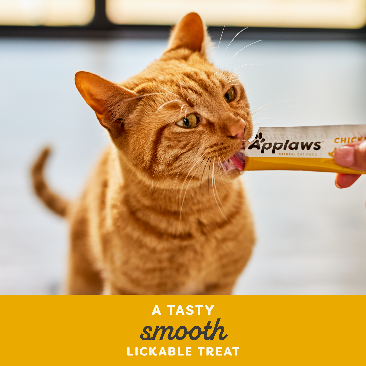 Applaws Natural Chicken Puree Lickable Cat Treats 4x15g