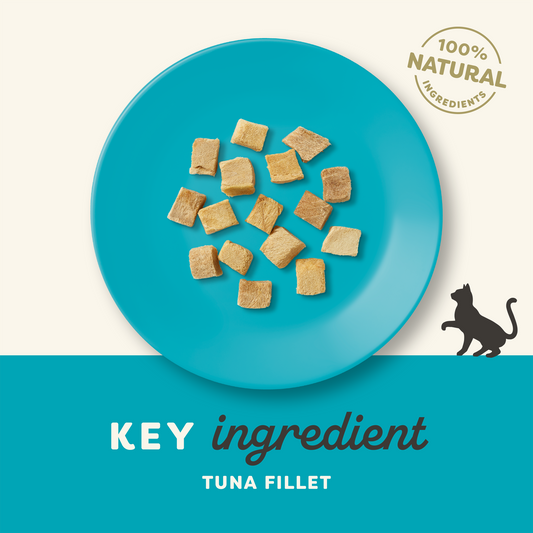 Applaws Natural Freeze Dried Tuna Fillet Cat Treats 10g