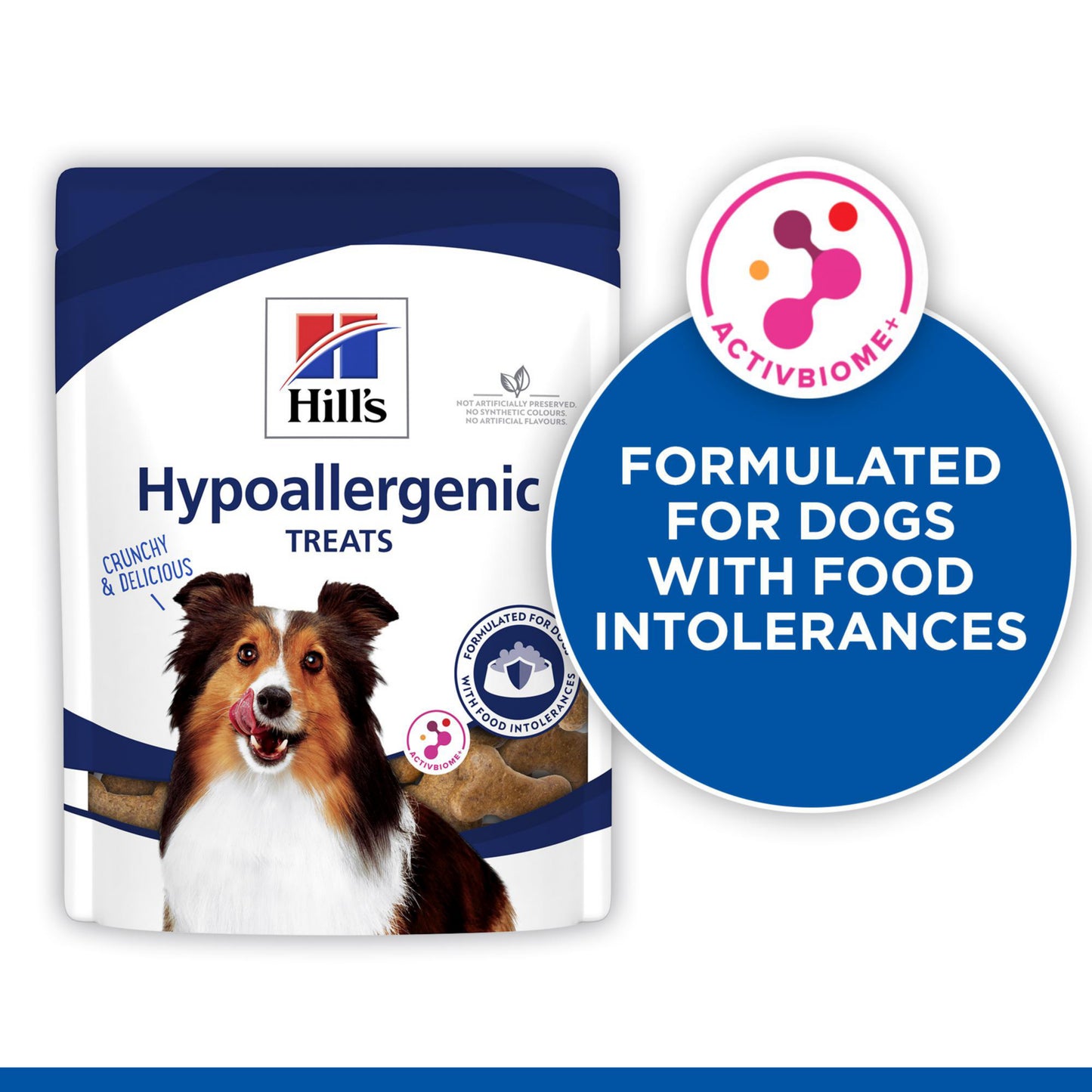Hill's Prescription Diet Hypoallergenic Dog Treats
