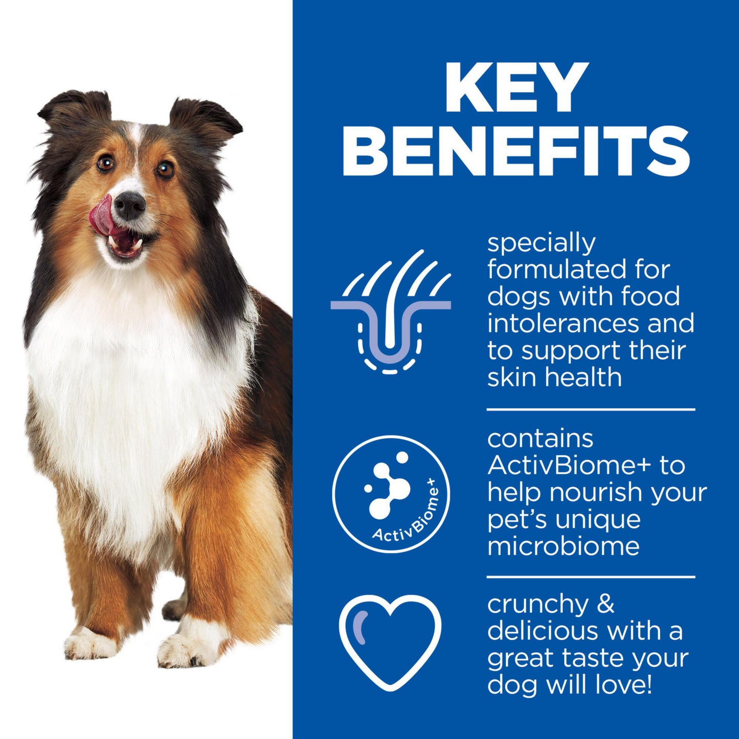 Hill's Prescription Diet Hypoallergenic Dog Treats