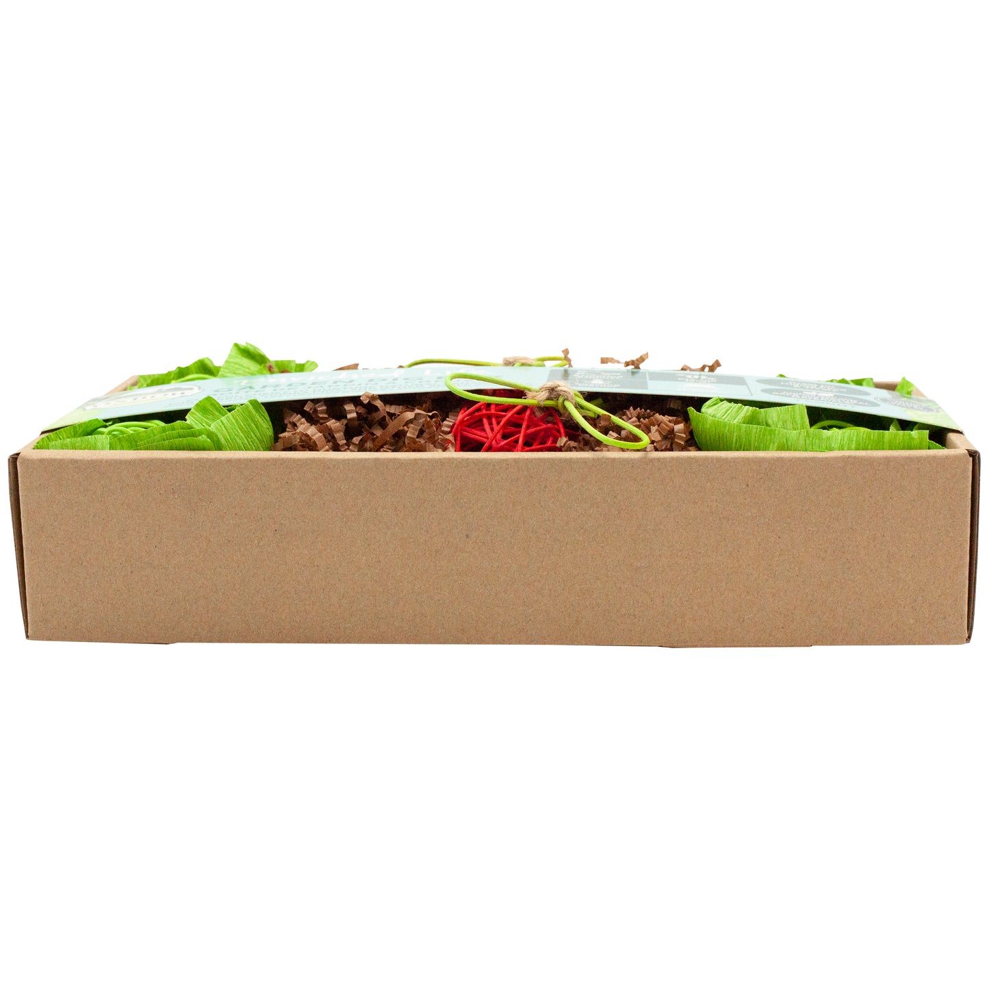 Oxbow Garden Dig Box Small Animal Forage Box