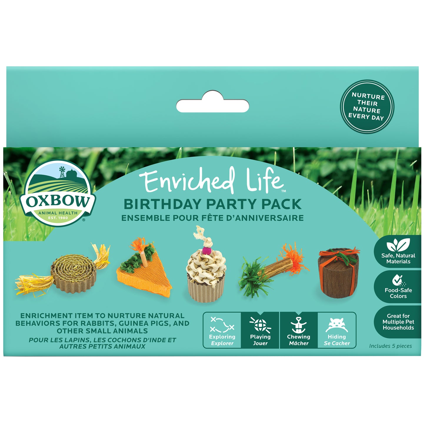 Oxbow Birthday Party Small Animal Chew Toys x5
