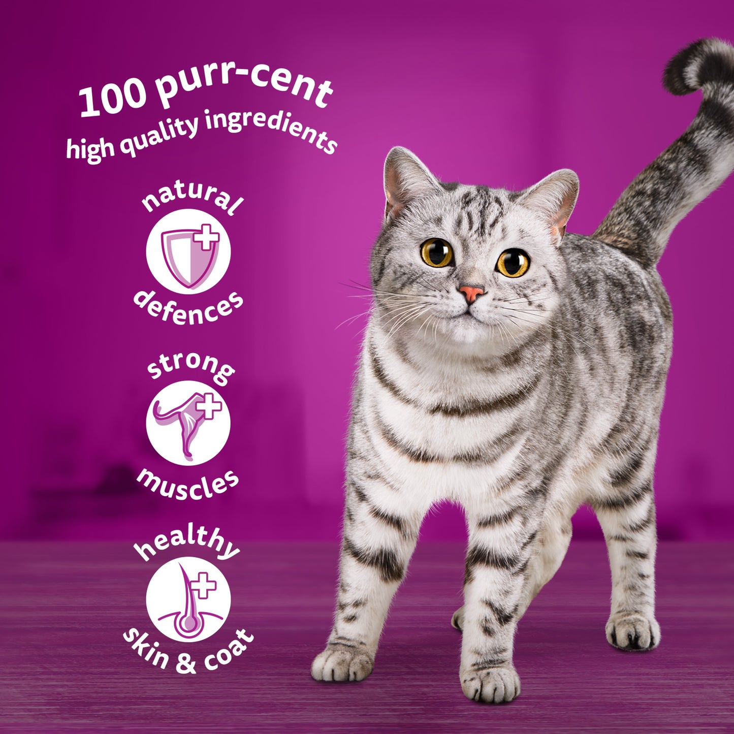 Whiskas 1+ Adult Wet Cat Food Fish Selection In Jelly 80x85g