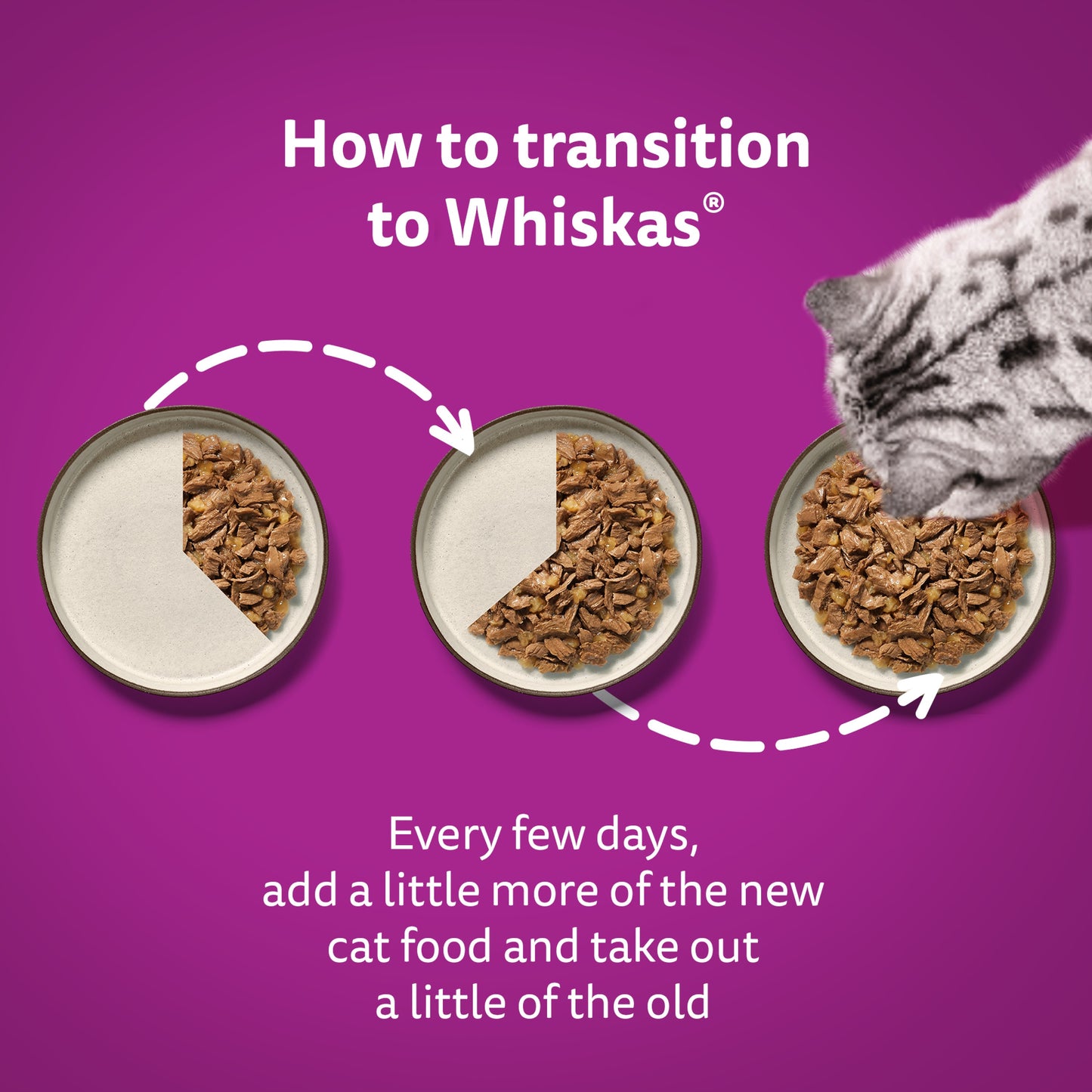 Whiskas 1+ Adult Wet Cat Food Fish Selection In Jelly 80x85g