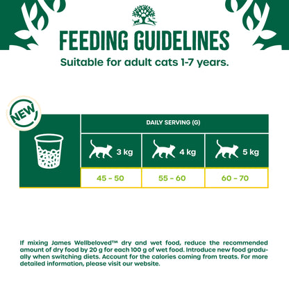 James Wellbeloved Adult Dry Cat Food Turkey 4kg