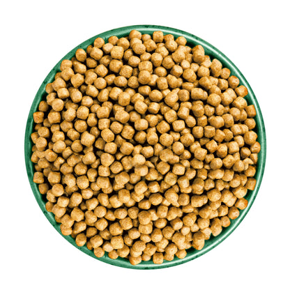 James Wellbeloved Adult Dry Cat Food Fish 10kg