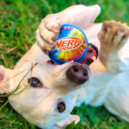 Nerf Colour Blast Squeak TPR Ball Dog Toy