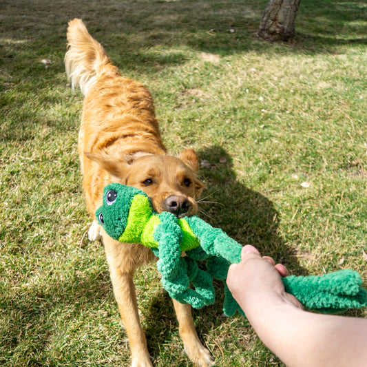 KONG Knots Frog Plush Squeaky Dog Toy Large