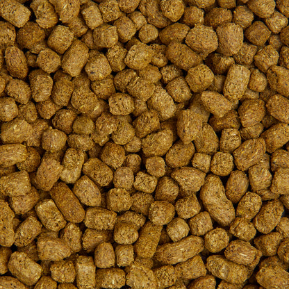 Pets at Home Guinea Pig Nuggets 4kg