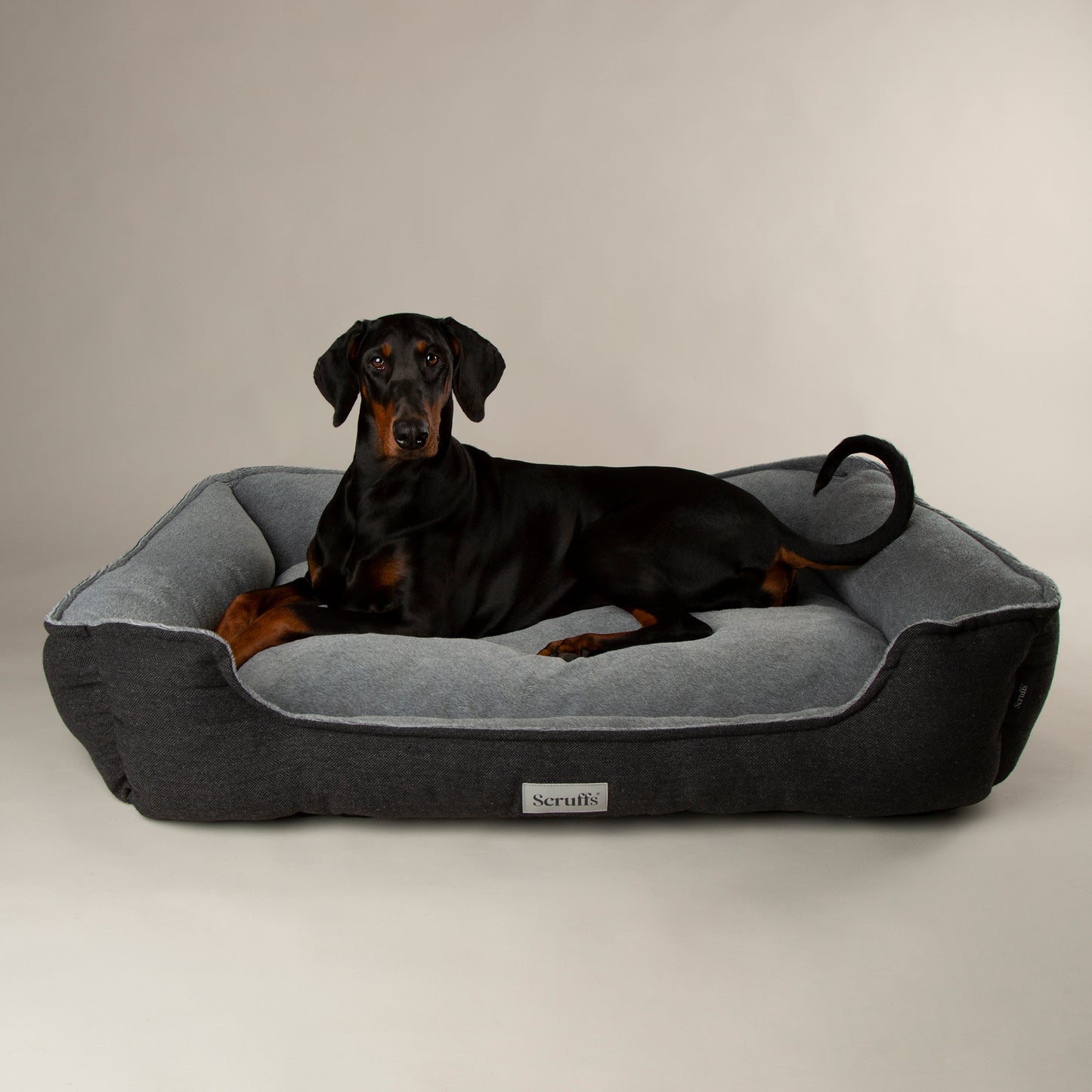 Scruffs Harvard Orthopaedic Box Dog Bed Graphite Grey