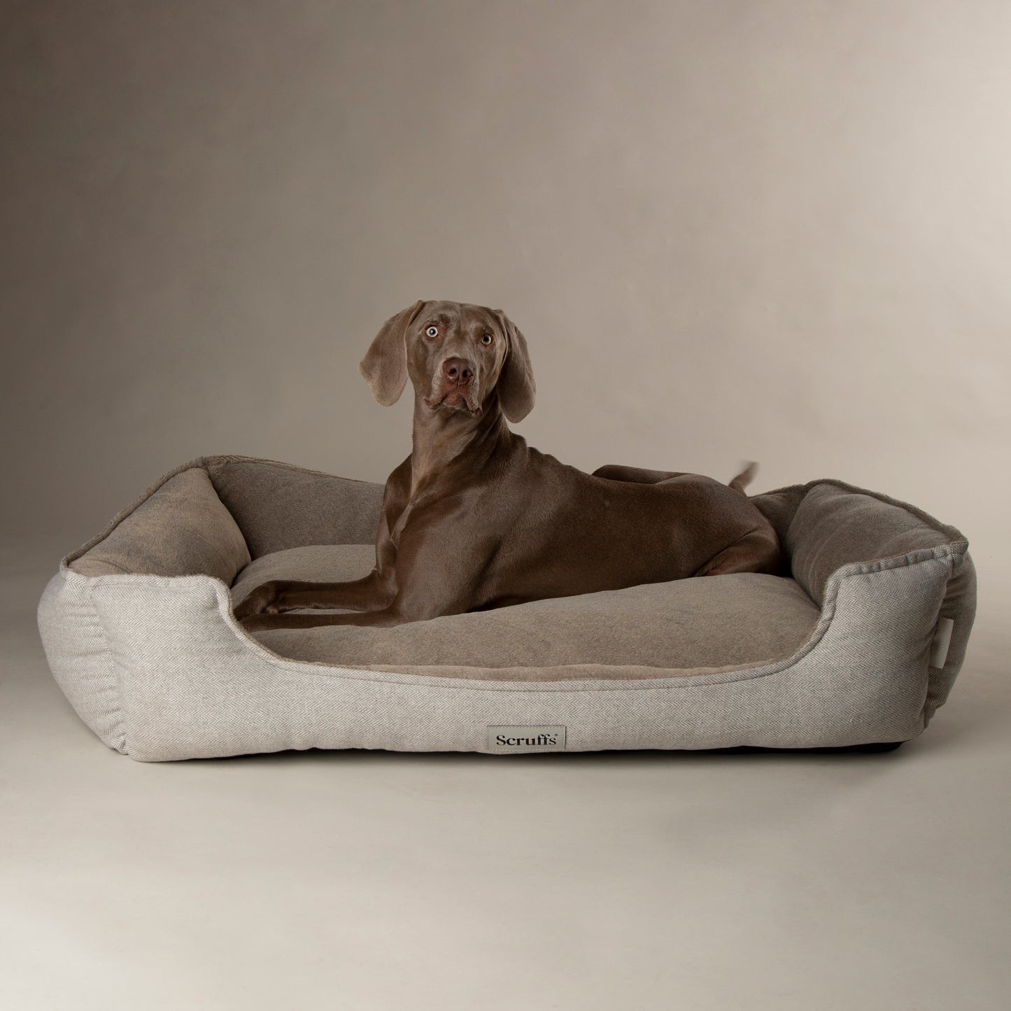 Scruffs Harvard Orthopaedic Box Dog Bed Pearl Grey