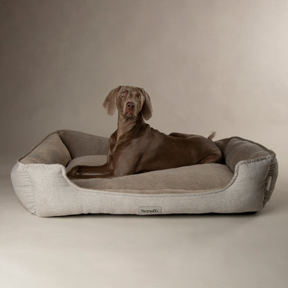 Scruffs Harvard Orthopaedic Box Dog Bed Pearl Grey