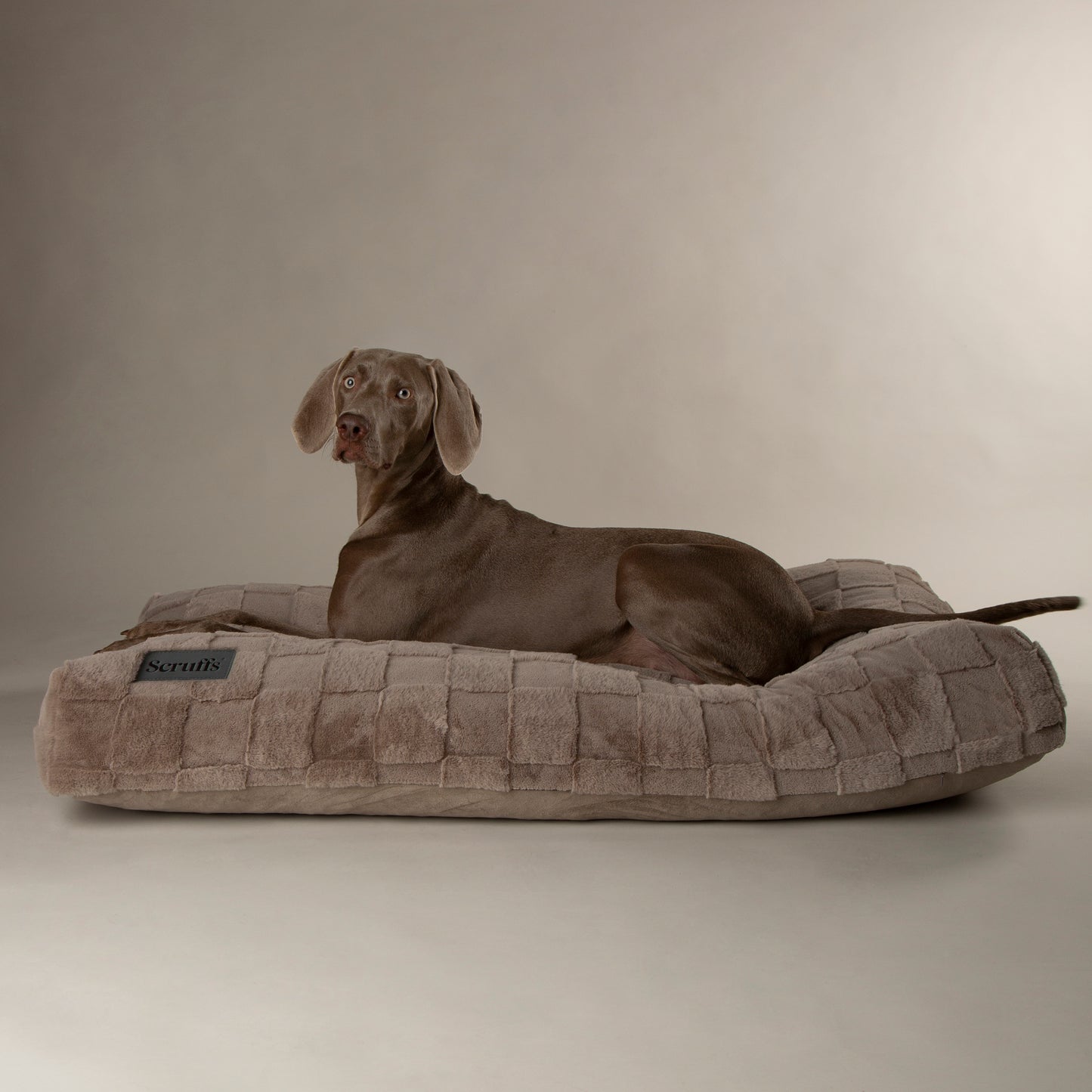 Scruffs Oxford Mattress Dog Bed Silver Taupe