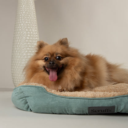 Scruffs Cosy Box Dog Bed Sage Green