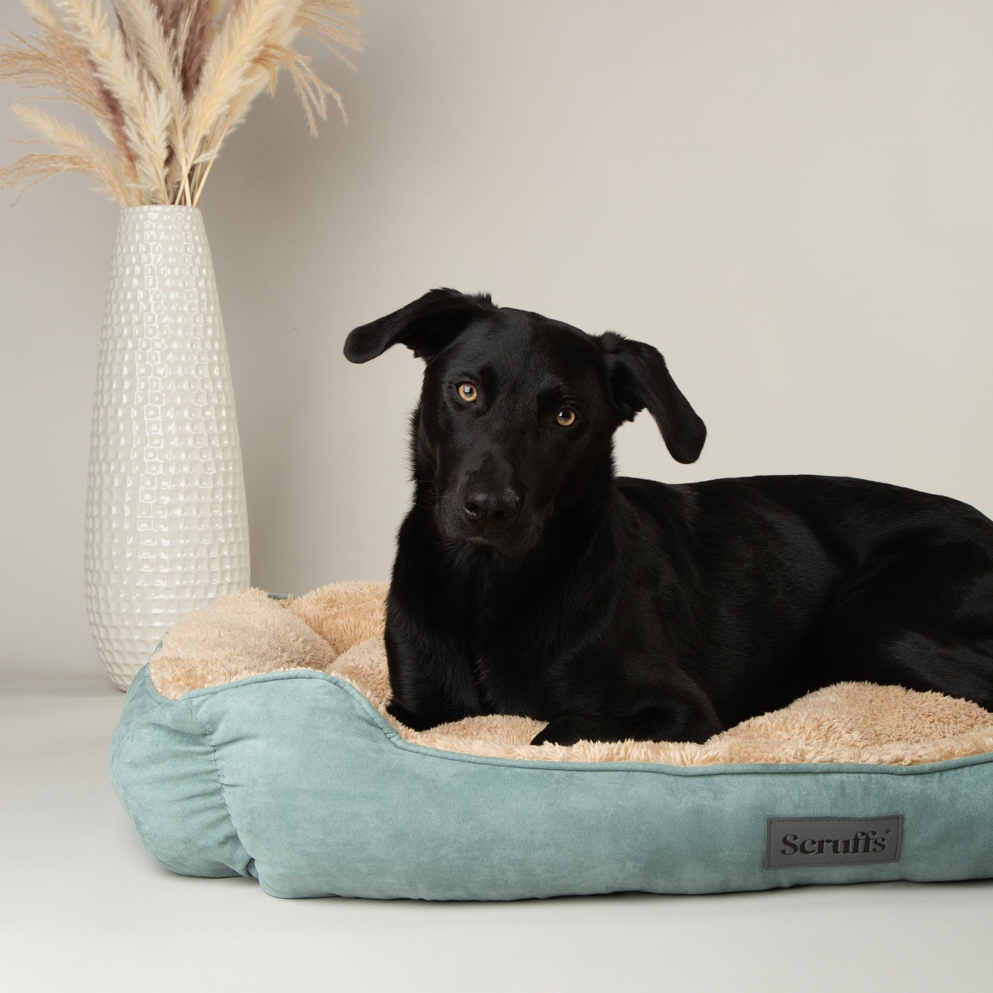 Scruffs Cosy Box Dog Bed Sage Green