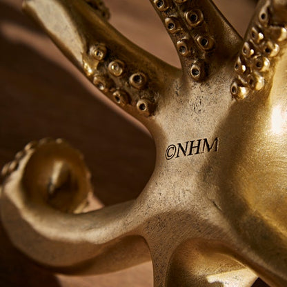 Octopus Glasses Holder