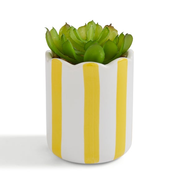 Artificial Succulent in Striped Ceramic Plant Pot
