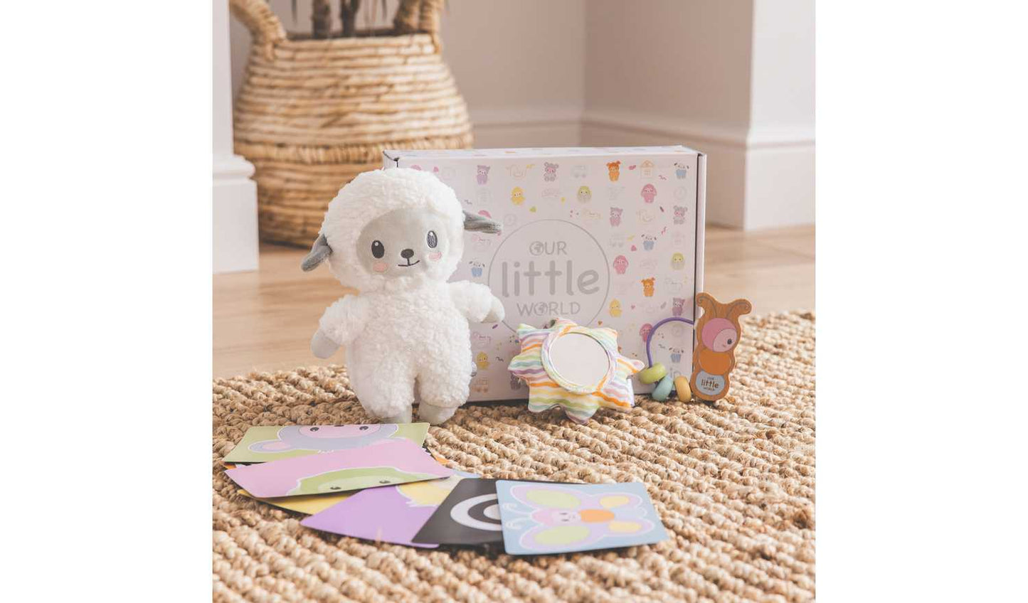 Our Little World Sensory Activity Toys for Babies