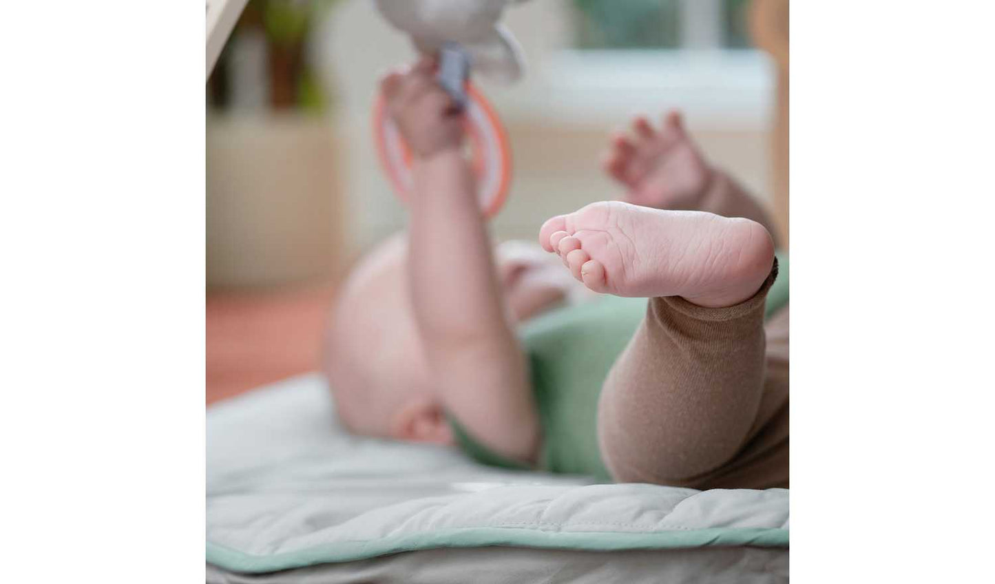 Ingenuity Cozy Spot Play Gym