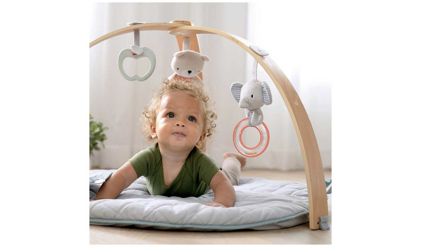 Ingenuity Cozy Spot Play Gym