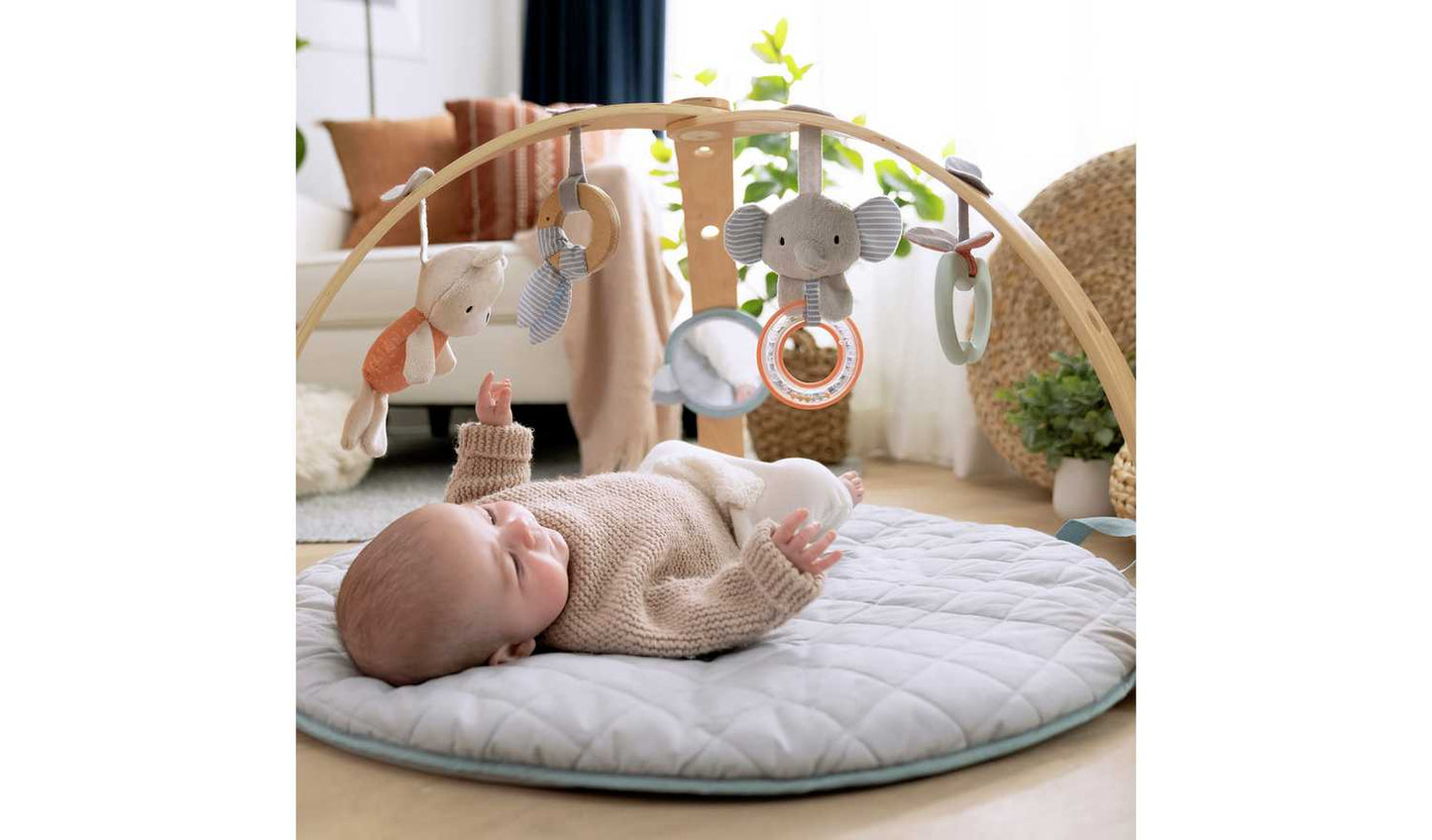 Ingenuity Cozy Spot Play Gym