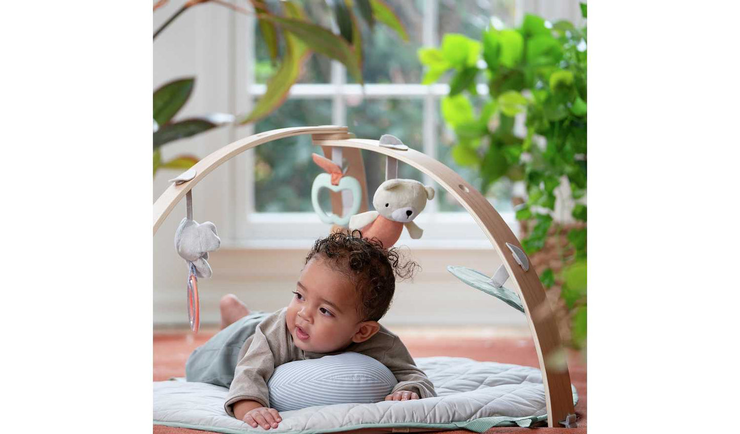 Ingenuity Cozy Spot Play Gym