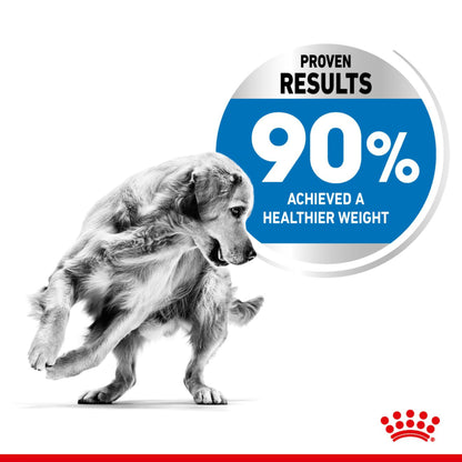 Royal Canin Maxi Light Weight Care Large Breed Adult Dry Dog Food 12kg