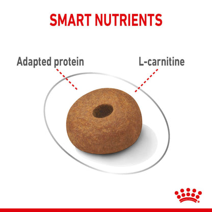 Royal Canin Maxi Light Weight Care Large Breed Adult Dry Dog Food 12kg