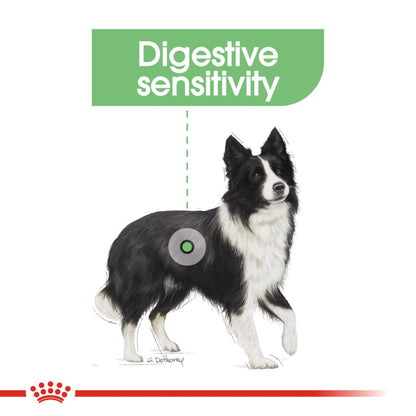 Royal Canin Digestive Care Medium Breed Adult Dry Dog Food 12kg