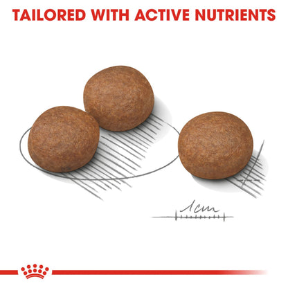 Royal Canin Digestive Care Medium Breed Adult Dry Dog Food 12kg