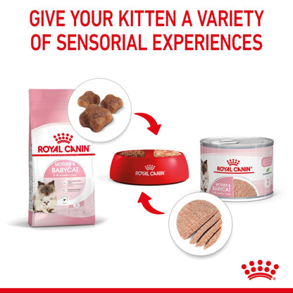Royal Canin Mother & Babycat Wet Cat Food Mousse 12x195g
