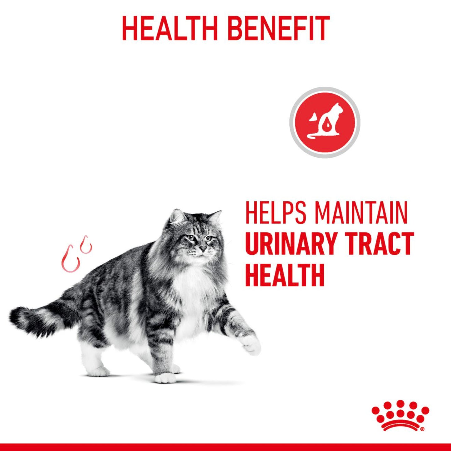 Royal Canin Urinary Care Wet Adult Cat Food In Gravy 48x85g