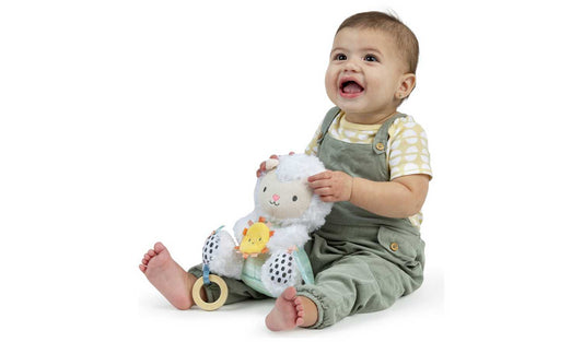 Ingenuity Calm Springs Activity Toy Sheppy