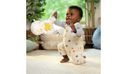 Ingenuity Calm Springs Activity Toy Sheppy