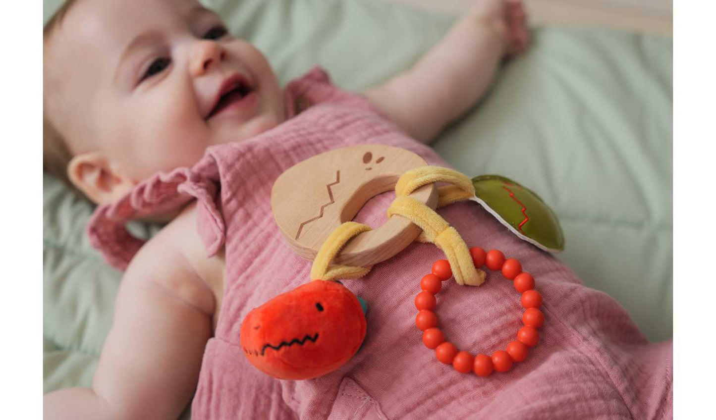Little Big Friends Teether - Dino