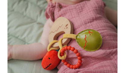 Little Big Friends Teether - Dino